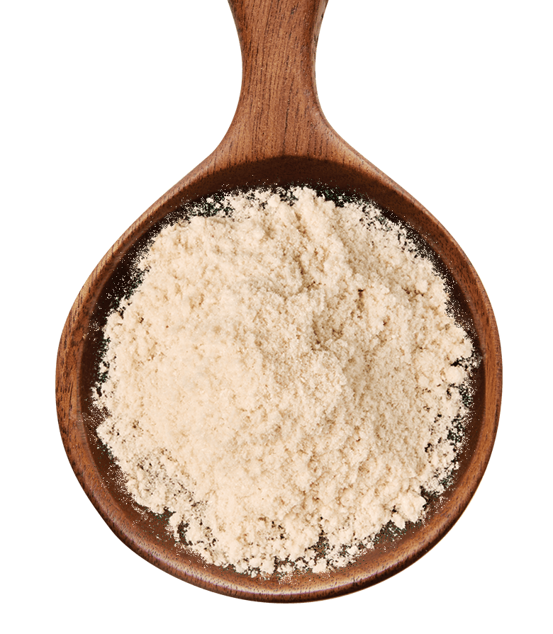 Linumgel_Spoon